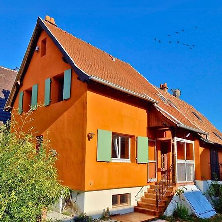 Beau Logement Au Centre D'Alsace Epfig Kültér fotó